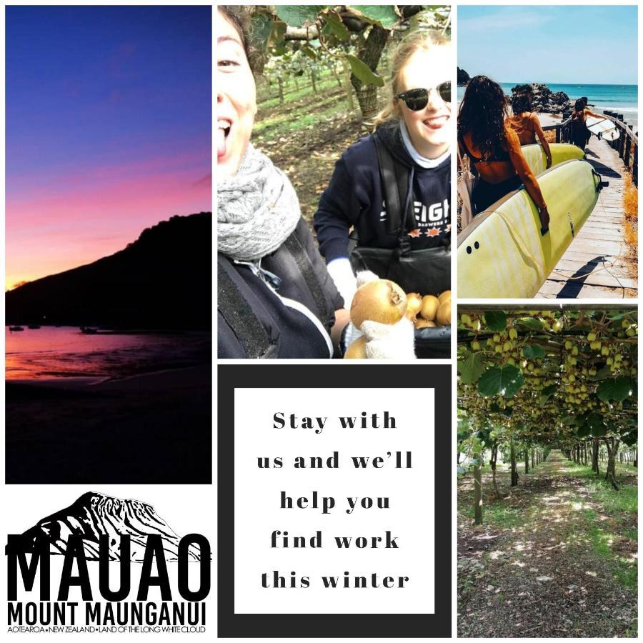 Хостел Mount Backpackers Маунт-Маунгануй Екстер'єр фото
